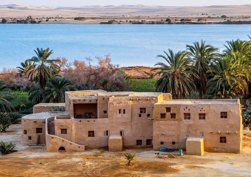 siwa oasis egypt