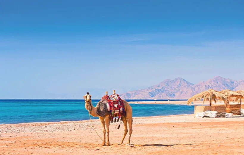 Marsa Alam Excursions