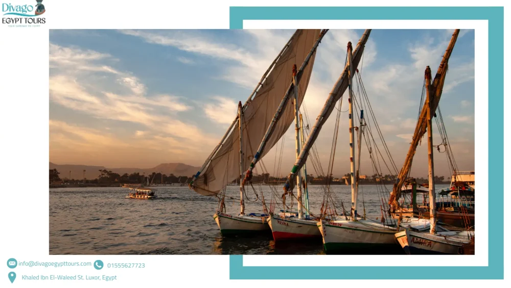 cheap nile cruises