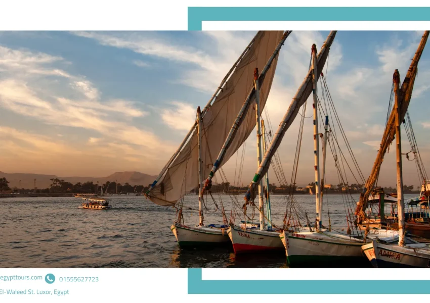 cheap nile cruises